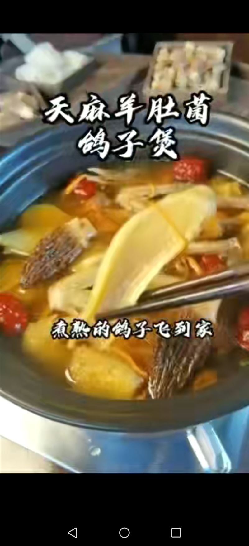 天麻羊肚菌鸽子煲