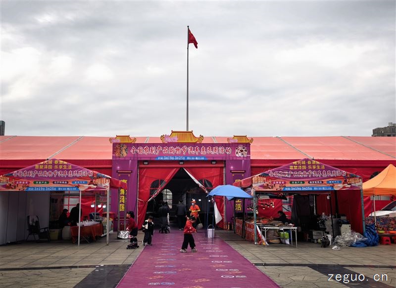 泽国镇广场大活动